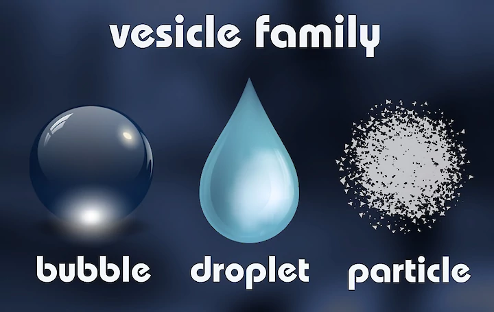 Vesicle bubble droplet and particle