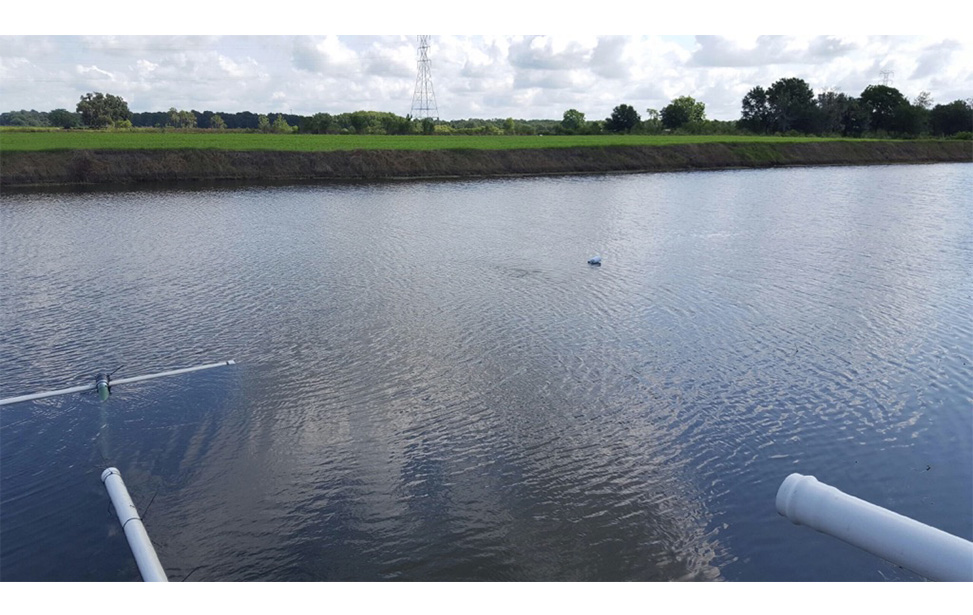 Lake water treatment nanobubbles after remediation