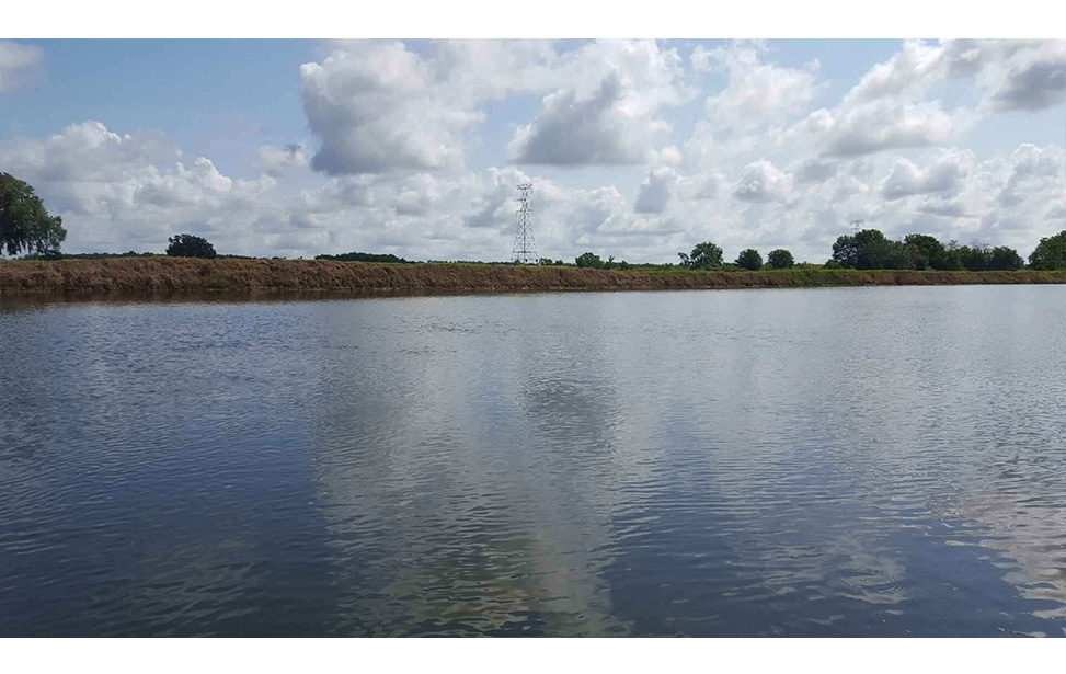 Lake water treatment nanobubbles after remediation