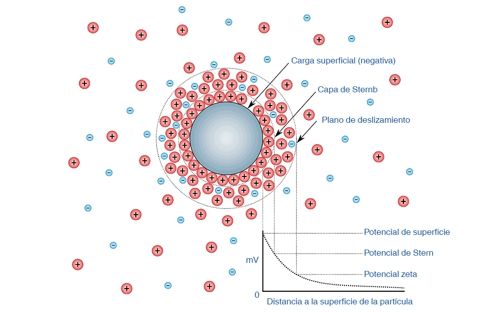 Diagrama que muestra la concentración iónica y la diferencia de potencial en función de la distancia desde la superficie cargada de una partícula suspendida en un medio de dispersión