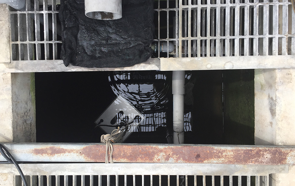 acniti submersible unit installed in day storage tank