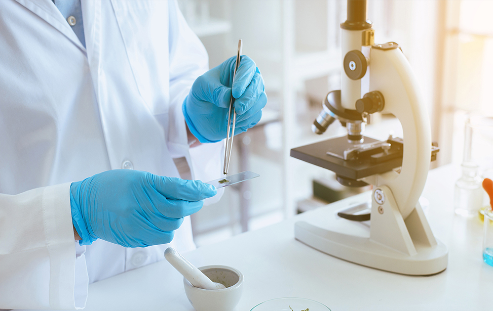 Fairway Green Cannabis laboratory