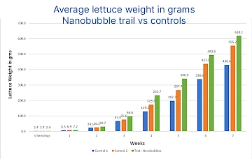 Graph average lettuce weight in grams nanobubble trail vs controls