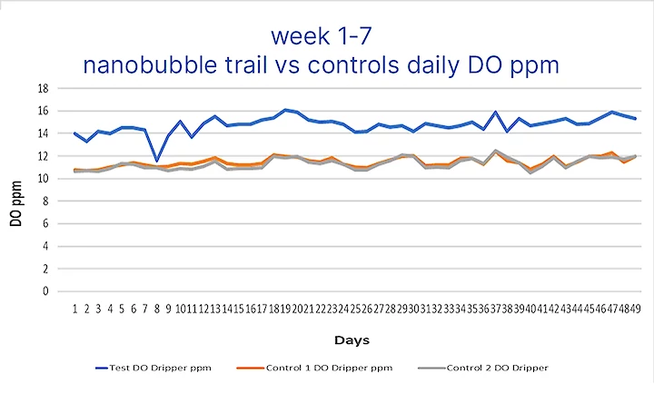 Graph Nanobubble trial vs controls daily DO ppm