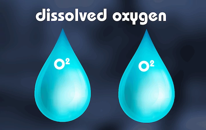 oxygène dissous