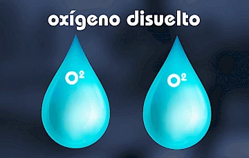 oxígeno disuelto