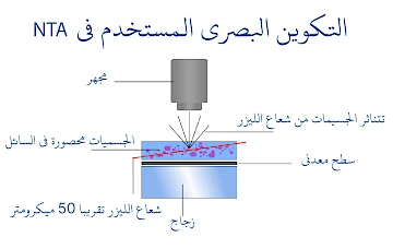 التكوين البصري المستخدم في nta