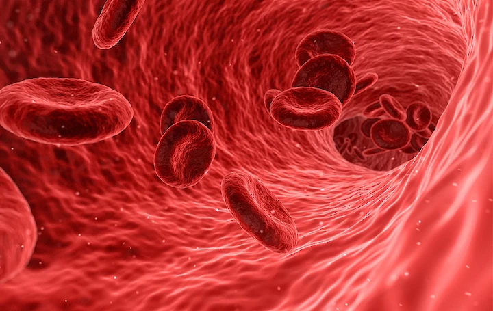 خلية دم حمراء