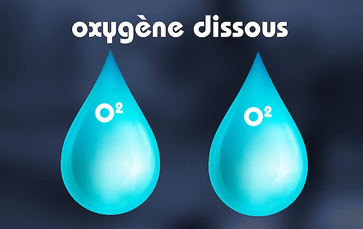 oxygène dissous