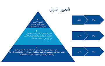 التعيير الدولي