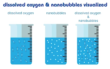 dissolved oxygen and nanobubbles visualized