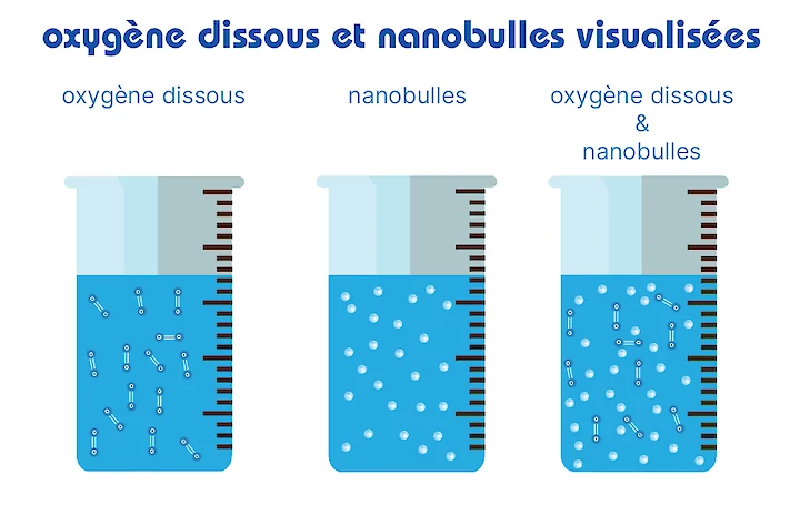 visualisation de l'oxygène dissous et des nanobulles