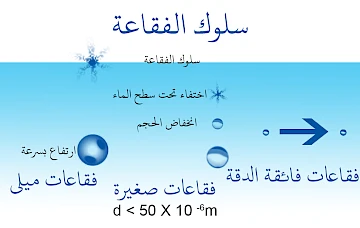 سلوك الفقاعة