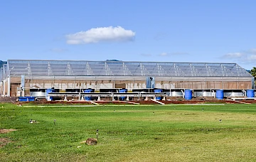 دفيئة ماريس جاردن هاواي