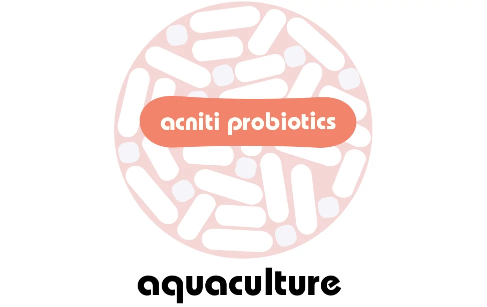 تربية الأحياء المائية acniti البروبيوتيك