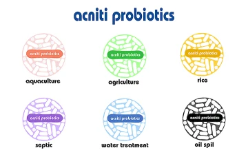 Acniti Probiotics