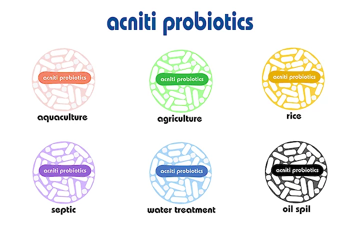 Acniti probiotica