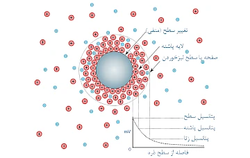 نموداری که غلظت یونی و اختلاف پتانسیل را به عنوان تابعی از فاصله از سطح باردار یک ذره معلق در یک محیط پراکندگی نشان می دهد