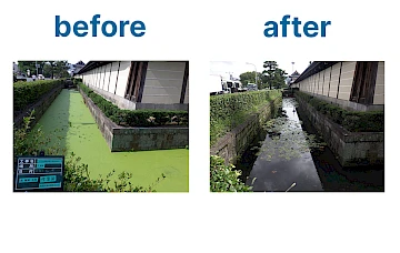 藻の繁茂した堀の清掃前と清掃後