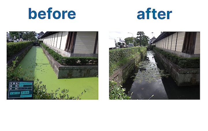 Algal Bloom moat cleaning before and after
