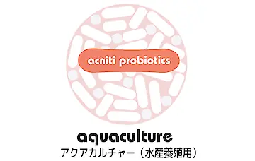 تربية الأحياء المائية acniti البروبيوتيك