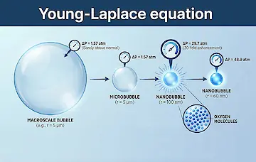 المعادلة النانوية معادلة يونغ لابلاس